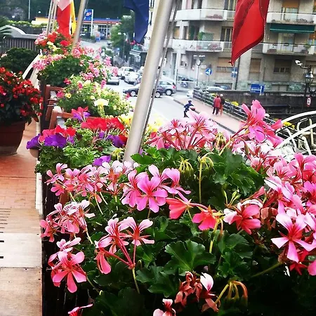 Portofino فندق